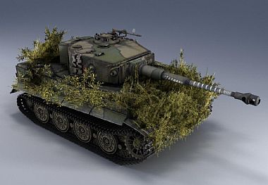 Veteran Tiger